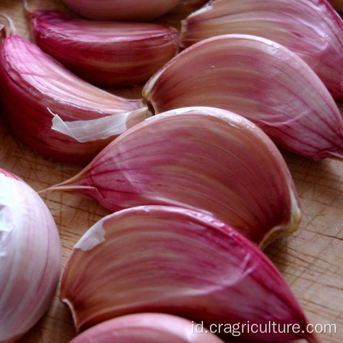 Garlic Farm Top Segar Bawang Putih Cengkeh